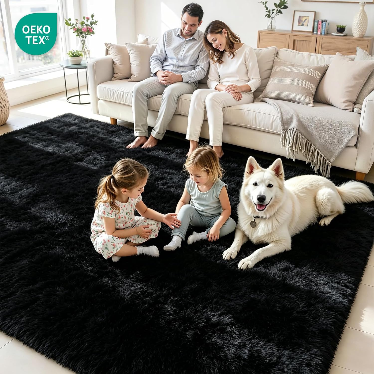 Black Washable Non-Slip Thick Fluffy Shag Area Rug